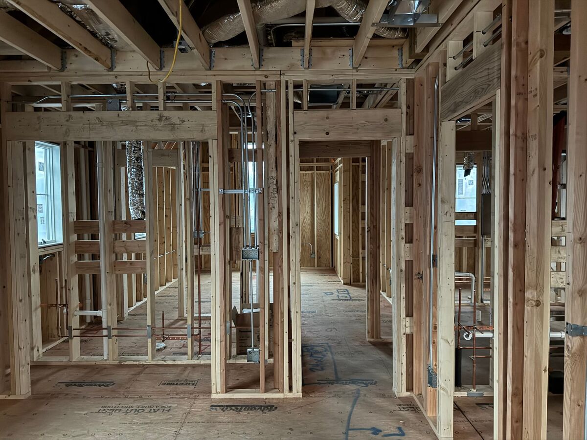 Conduit and rough-in wiring in a framed structure